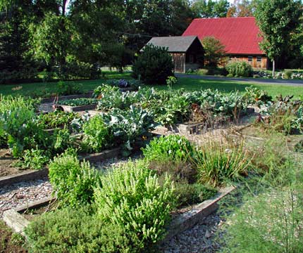 raised vegetable gardens at Bear Path Farm