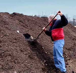 Bill inspecting the compost