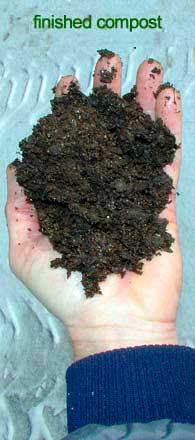 texture of compost in hand