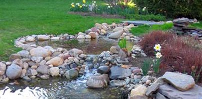 water garden in spring