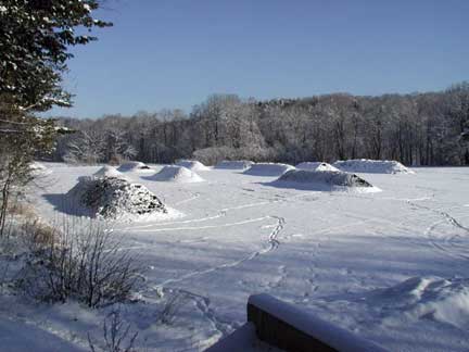 windrows of compost in the winter time