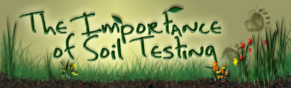 The Importance of Soil Testing