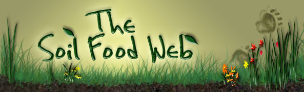 The Soil Food Web